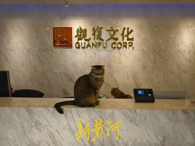 未命名图片