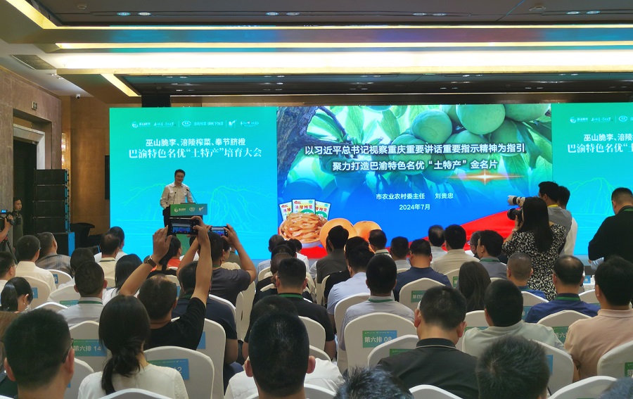 微信图片_20240702221957