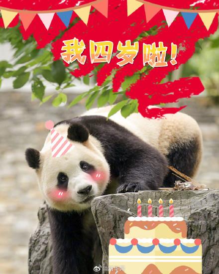 今天，发条微博祝福宝生日快乐