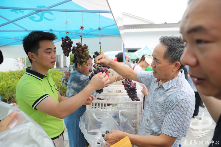 忠县磨子土家族乡举行第四届西瓜采摘节