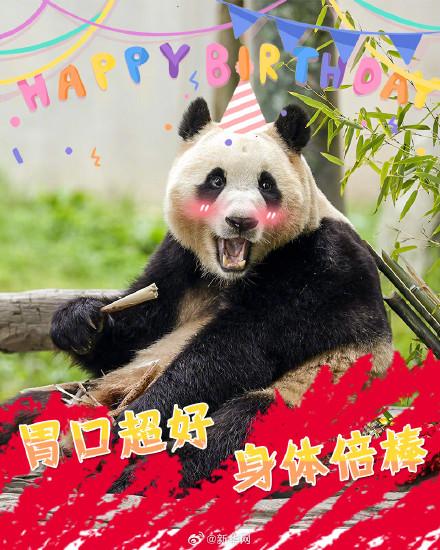 今天，发条微博祝福宝生日快乐