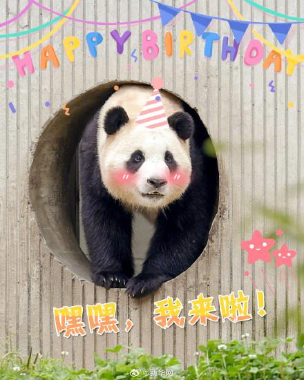 今天，发条微博祝福宝生日快乐