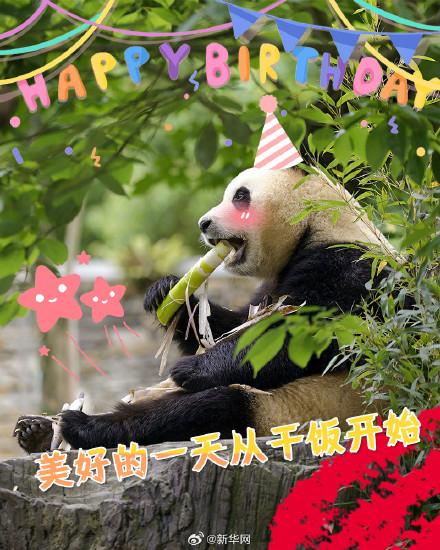 今天，发条微博祝福宝生日快乐