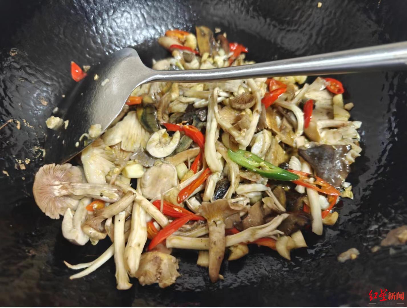 三人在龙泉山捡8斤野菌吃进急诊，曾用识图软件判断毒性，医生提醒→