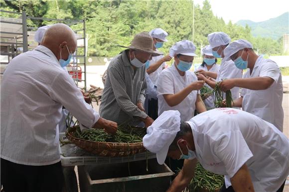 忠县：豇豆工厂加工忙 农民增收乐开颜