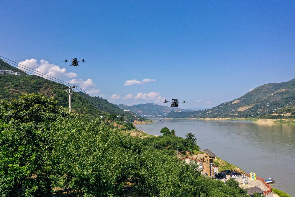 图集|果园直达云端 无人机助力巫山脆李丰收季