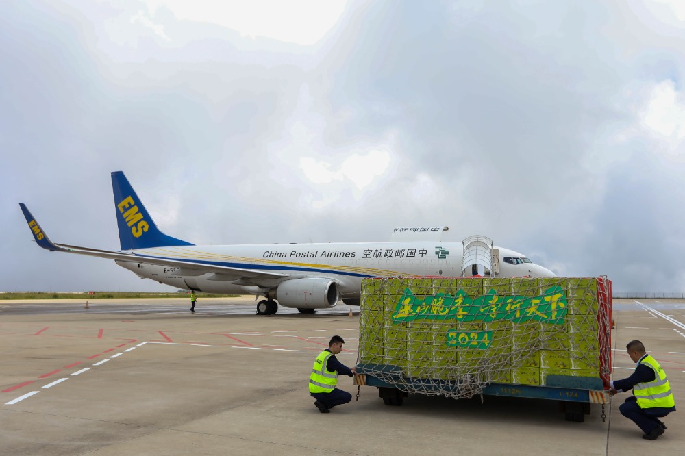 图集|果园直达云端 无人机助力巫山脆李丰收季