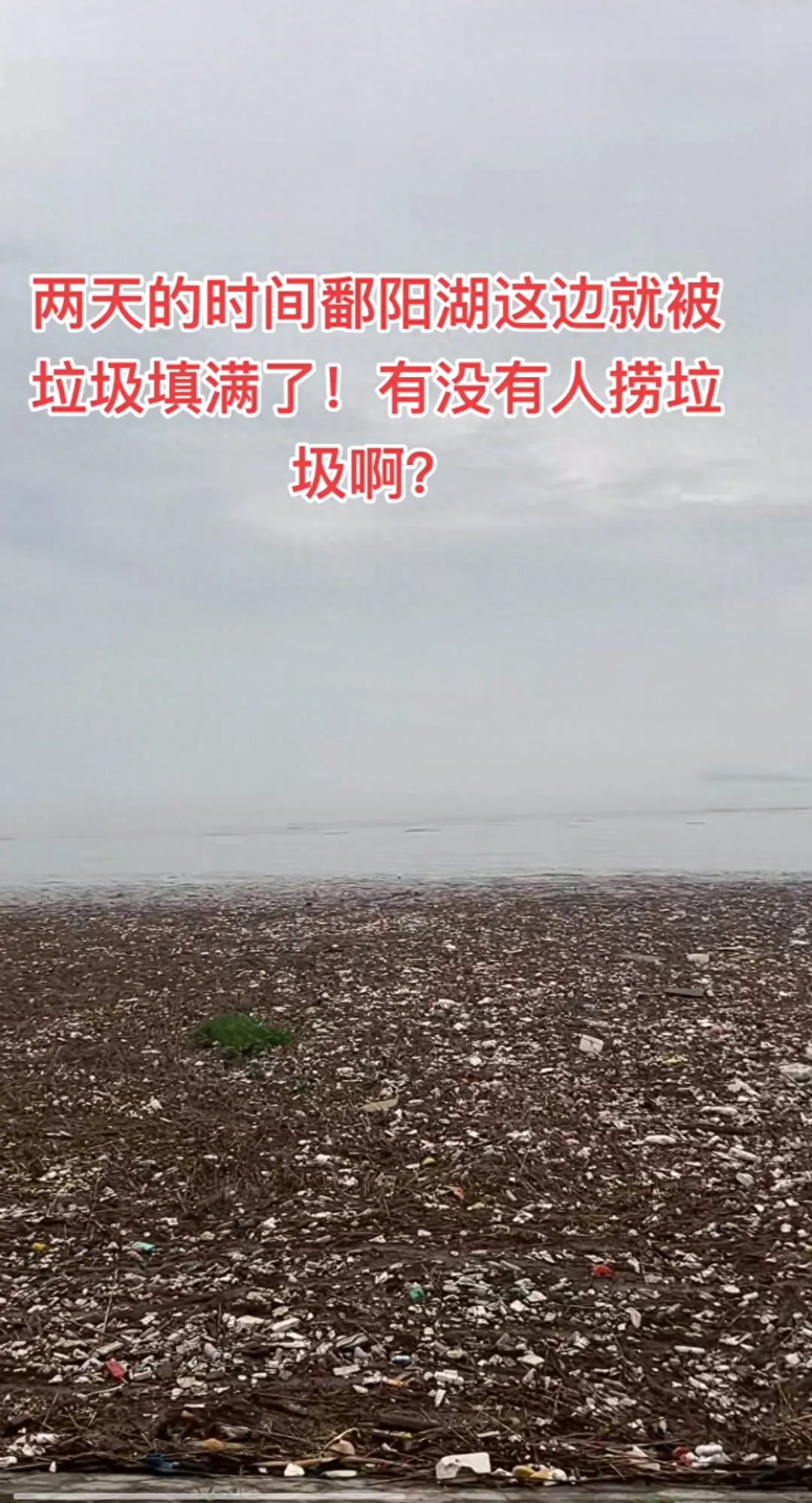鄱阳湖部分湖面被垃圾填满,生态环境局:近期雨势太大无法清理