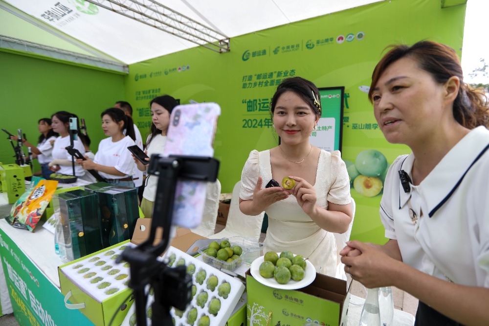 图集|果园直达云端 无人机助力巫山脆李丰收季