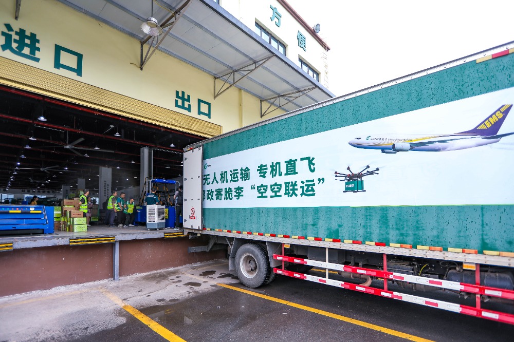 图集|果园直达云端 无人机助力巫山脆李丰收季