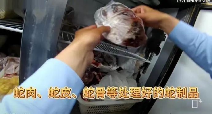 上海一餐馆被举报卖蛇肉，眼镜蛇398元一斤！现场查获活蛇65条