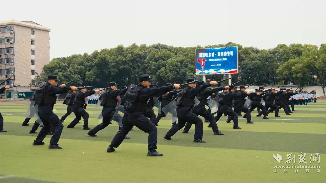 高燃！武汉警官职业学院2024年招生宣传片《青春“图”什么》正式发布