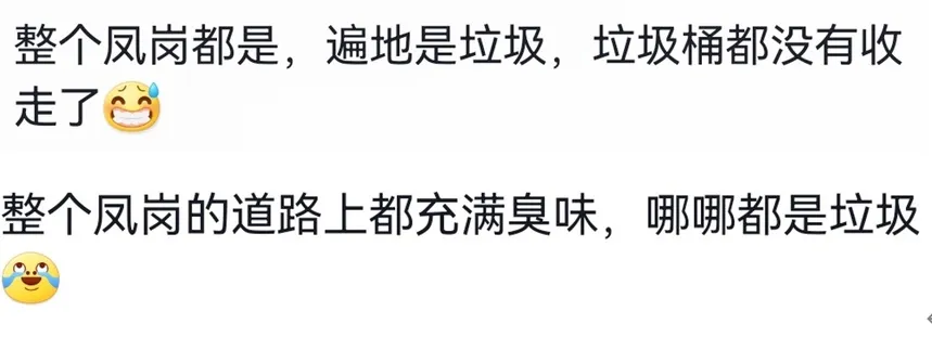 网传广东东莞一镇因环卫工人降薪停工导致垃圾遍地？官方回应