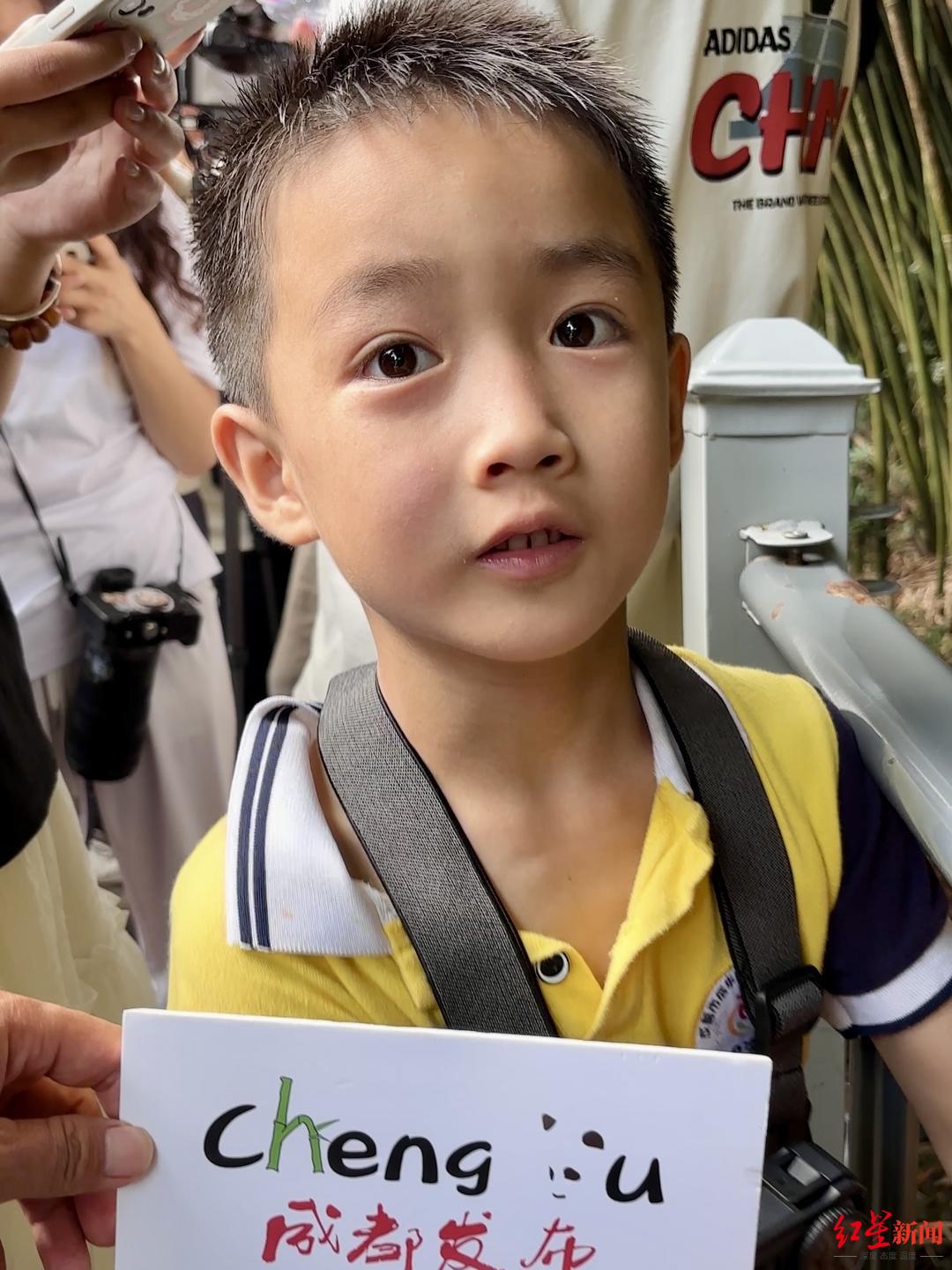 顶流“花花”姐妹4岁啦！粉丝通宵排队等待庆祝，有人下单“代排”