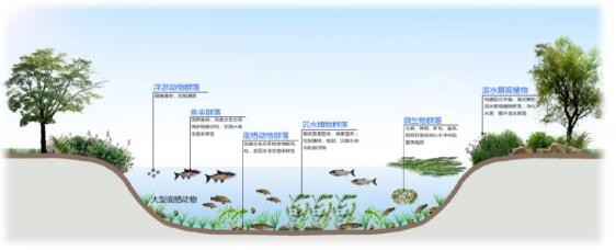 清源14年做了什么 让麓湖的水成为了中国样本