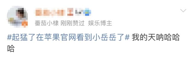 未命名图片