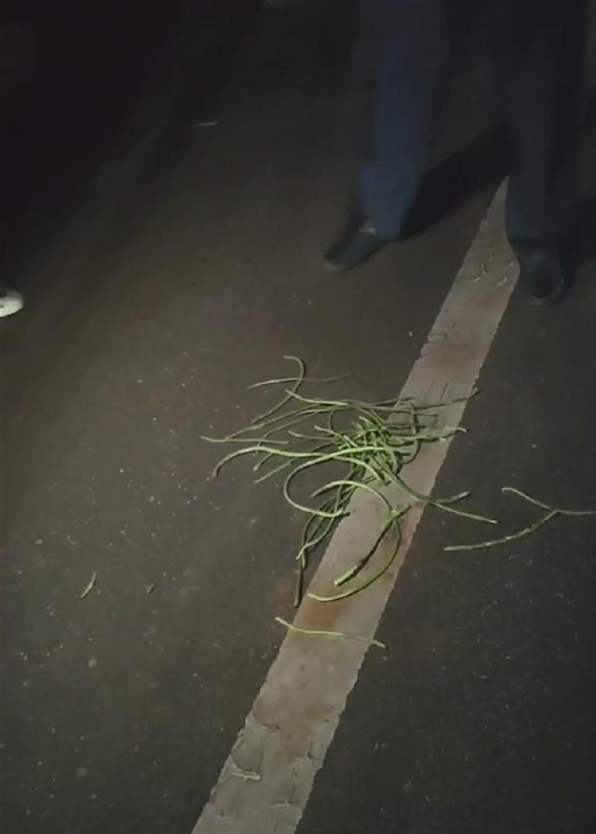 湖南两名公职人员与一名教师夜摘村民豆角引纠纷，警方介入调查