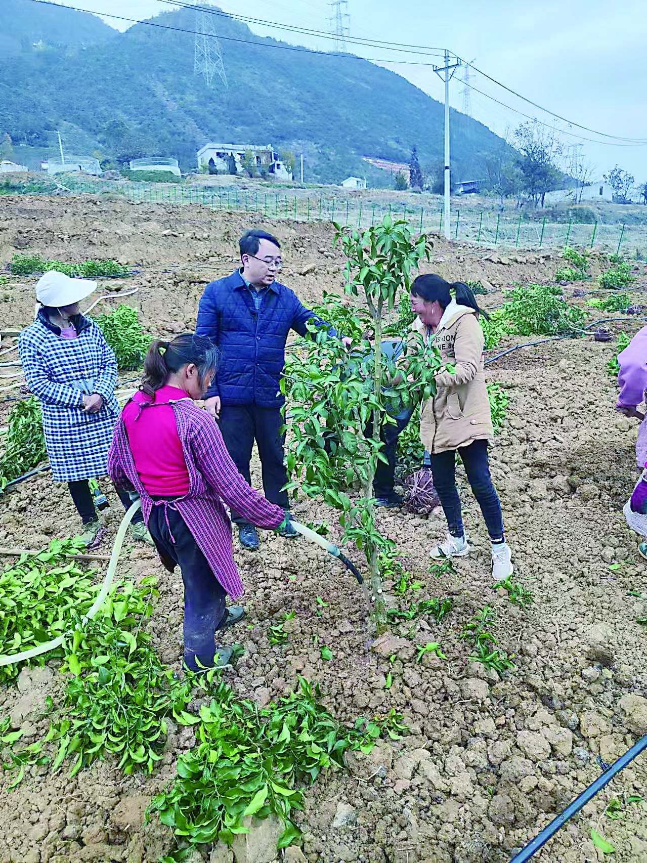 “博士农夫”十年筑梦 探出山区农业发展新出路