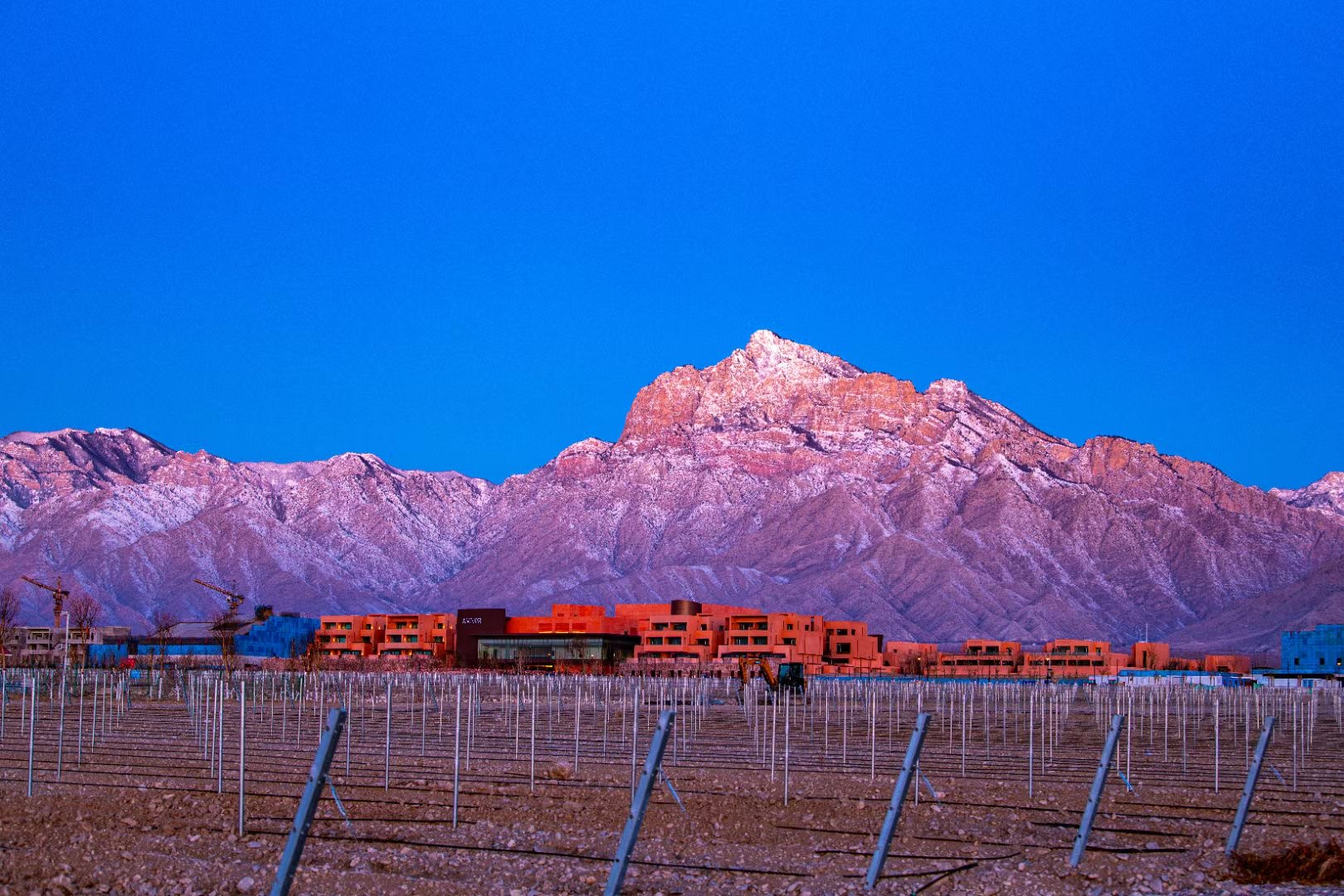 追《星星的故乡》，听宁夏“酒旅混酿”的传奇故事