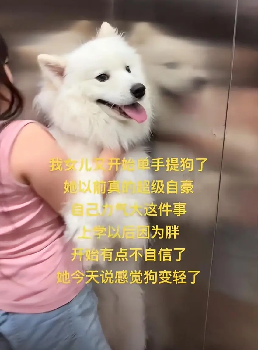 “先天健身圣体”的小姑娘去学游泳了