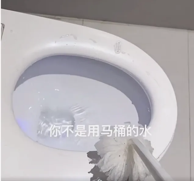 酒店竟用马桶刷蘸马桶水刷马桶,网友炸锅