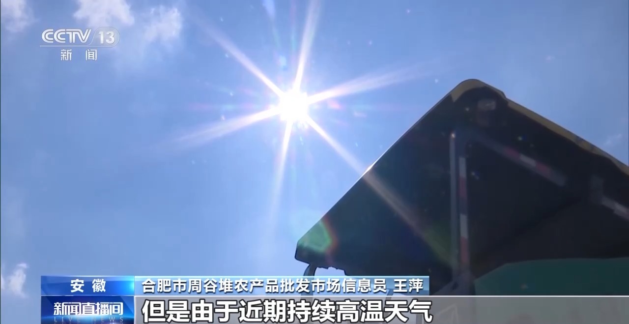 高温多雨致菜价上涨 各地多措保障蔬菜 “鲜”到餐桌