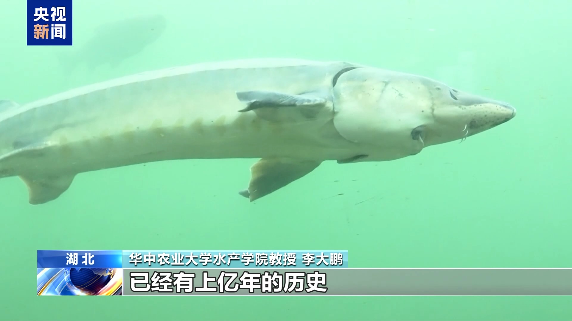 打卡高校“宝藏”博物馆 看珍稀藏品还能“蹭课”