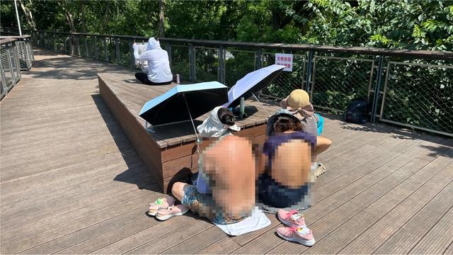 担心的事还是发生了！江苏一女子趴地上“晒背”，遭汽车碾压