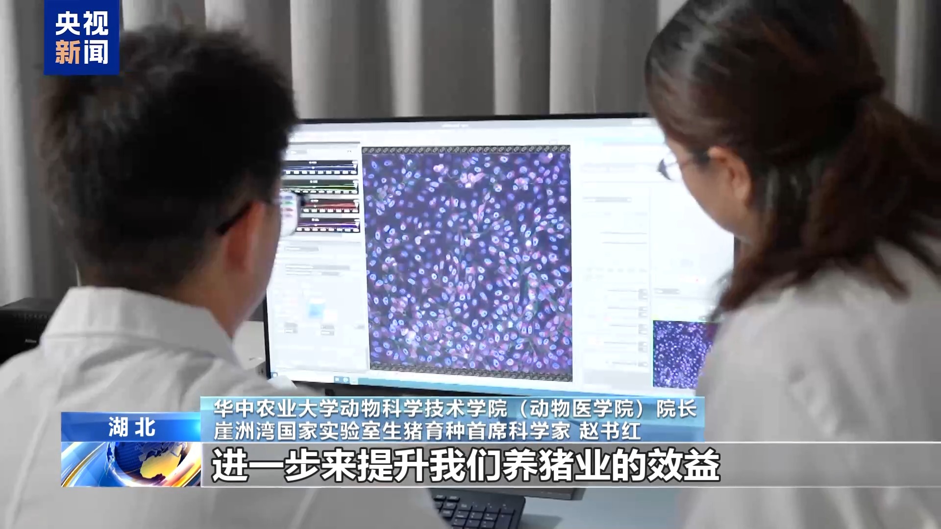 打卡高校“宝藏”博物馆 看珍稀藏品还能“蹭课”