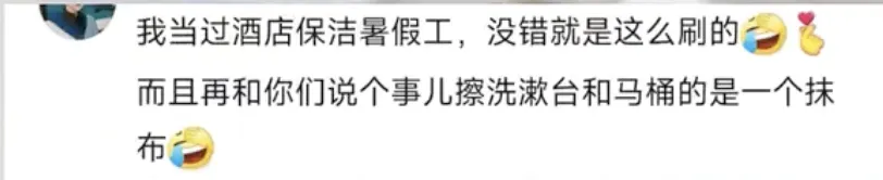 酒店竟用马桶刷蘸马桶水刷马桶,网友炸锅