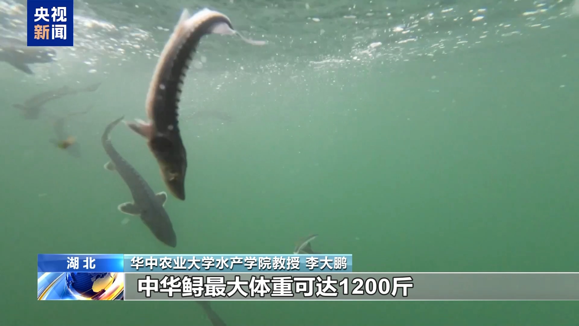 打卡高校“宝藏”博物馆 看珍稀藏品还能“蹭课”