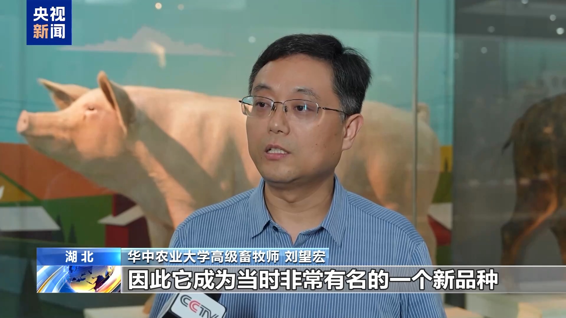 打卡高校“宝藏”博物馆 看珍稀藏品还能“蹭课”