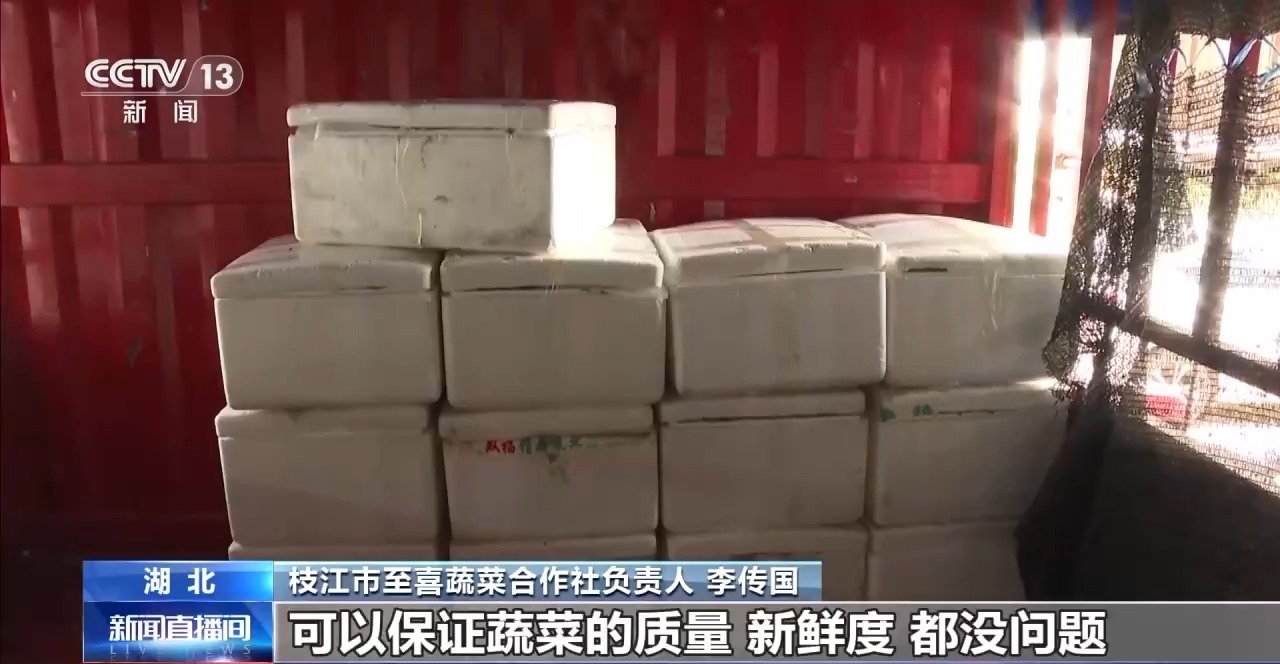 高温多雨致菜价上涨 各地多措保障蔬菜 “鲜”到餐桌