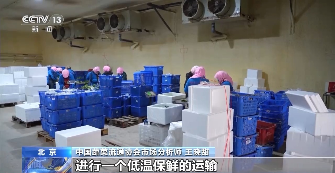 高温多雨致菜价上涨 各地多措保障蔬菜 “鲜”到餐桌