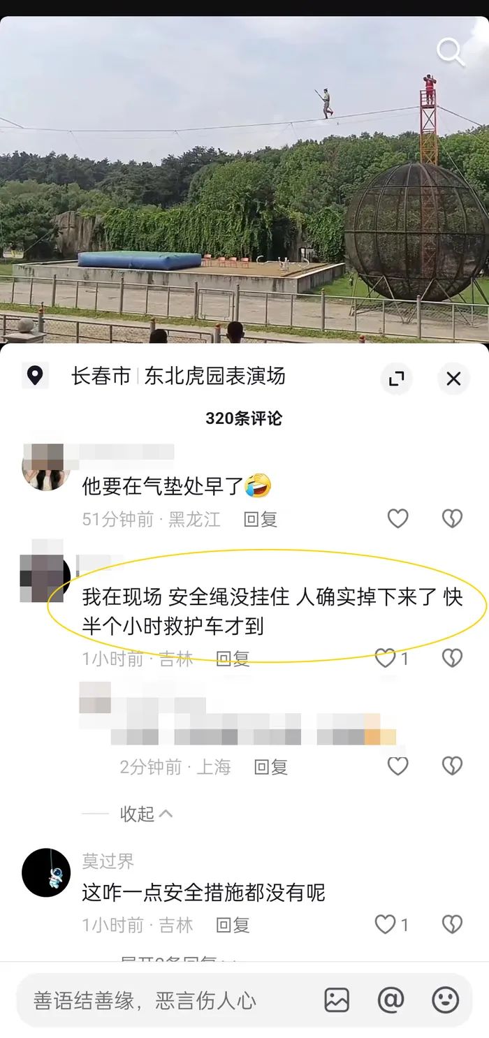 长春市东北虎园一杂技演员从空中坠落?景区公告表演暂停!官方已介入
