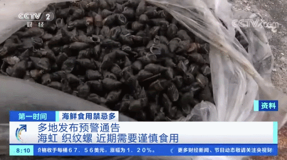 发现它立即举报!女子连吃10多颗织纹螺被送进ICU