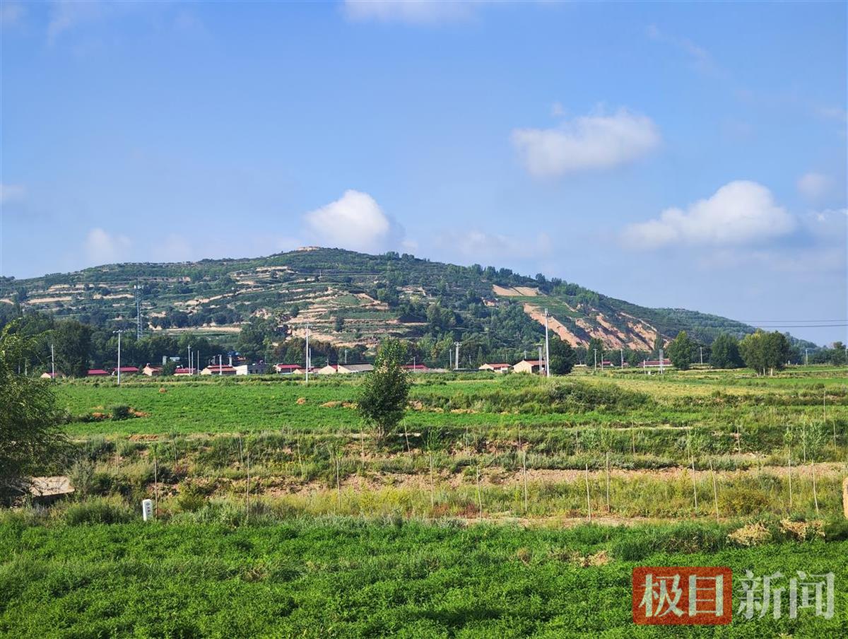 出租屋去世的宁夏女孩并非211大学毕业，家属：骨灰撒进了河里