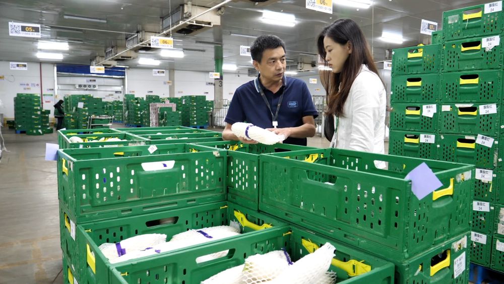 为何上涨？何时回稳？——透视当前蔬菜价格走势