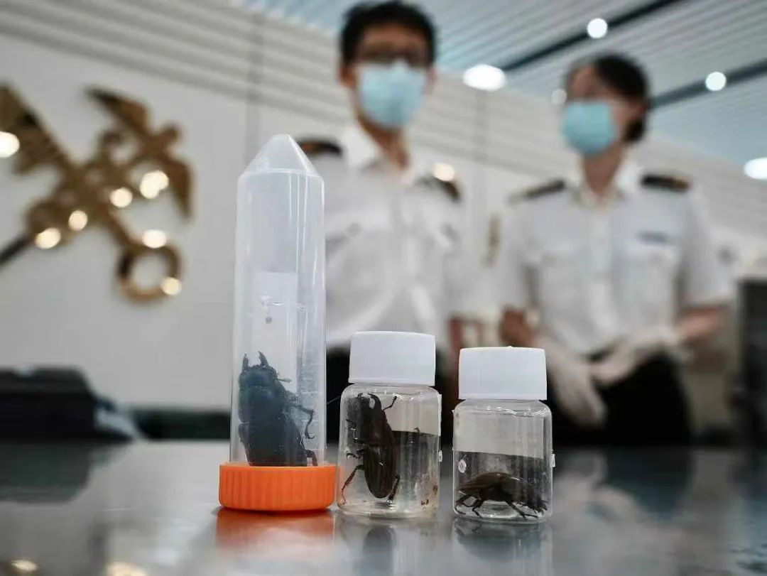 未命名图片