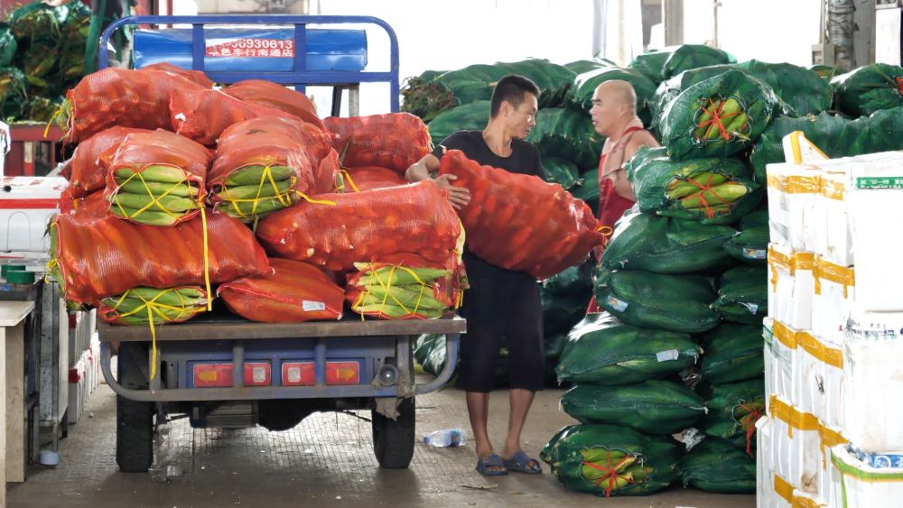 为何上涨？何时回稳？——透视当前蔬菜价格走势