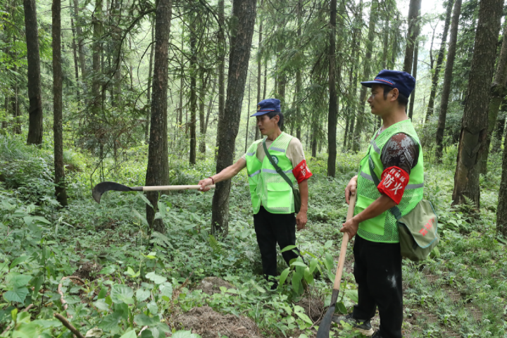 央媒看重庆|连晴高温下，山城重庆如何应对？
