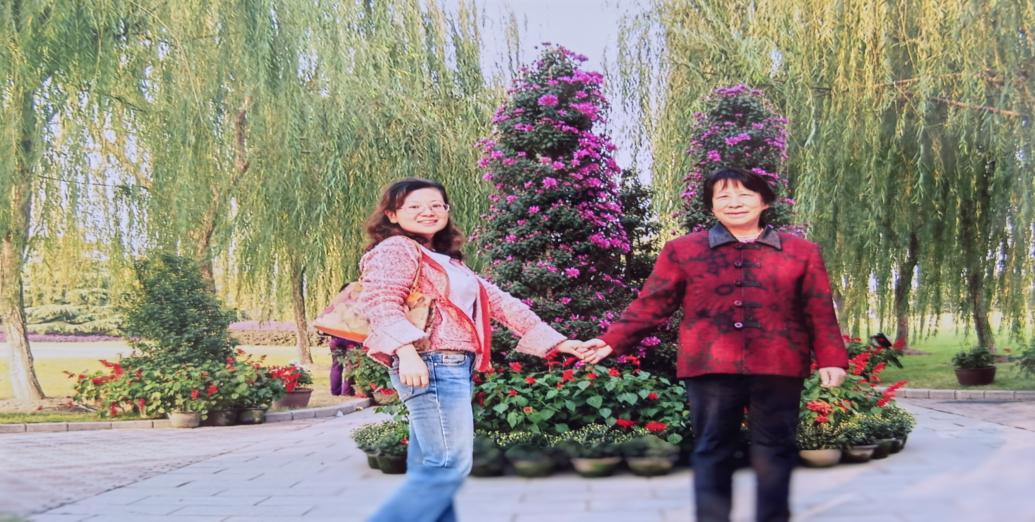 65岁重启人生!秀英奶奶的“自然笔记”太治愈了
