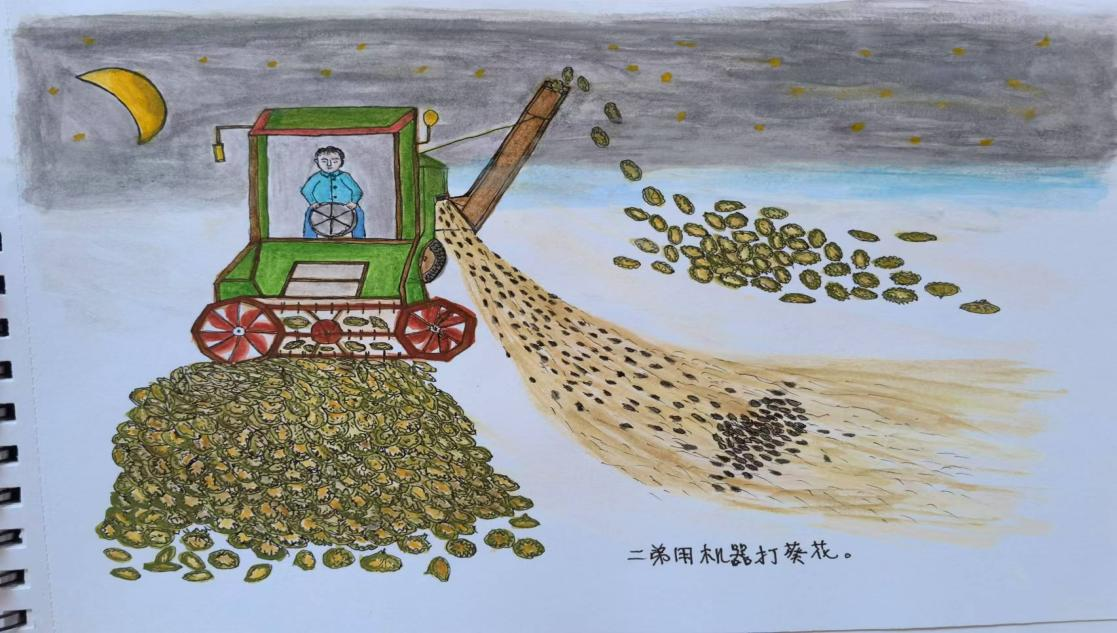 65岁重启人生!秀英奶奶的“自然笔记”太治愈了