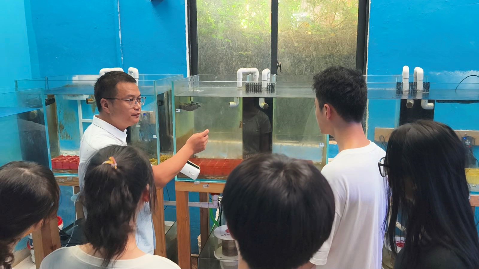 为珊瑚搭建“避难所”:广西北海涠洲岛的珊瑚礁保护与修复之路
