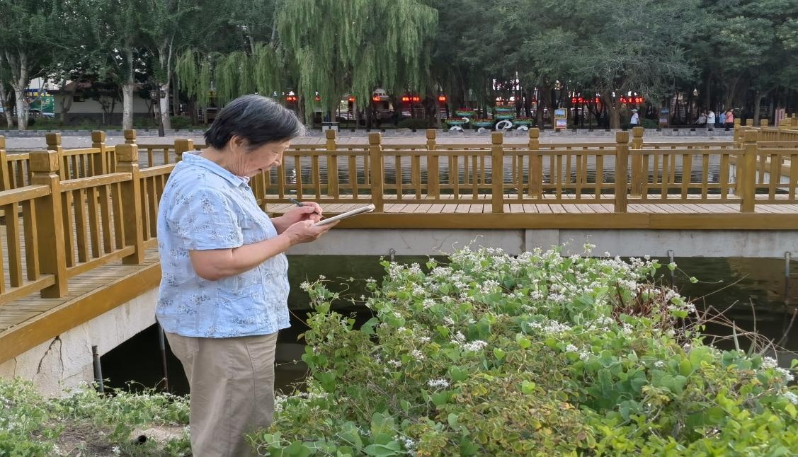 65岁重启人生!秀英奶奶的“自然笔记”太治愈了