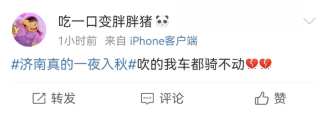 山东1天下了6500个大明湖!降水量约78.1亿立方米