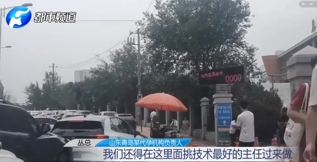 热搜爆了!75万代孕一个孩子?记者暗访揭露黑幕