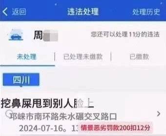 “挖鼻屎甩到别人脸上” “开车看美女”被开罚单？真相：网友P的