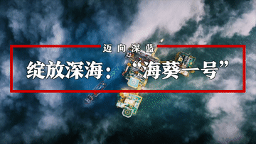 迈向深蓝|绽放深海:“海葵一号”