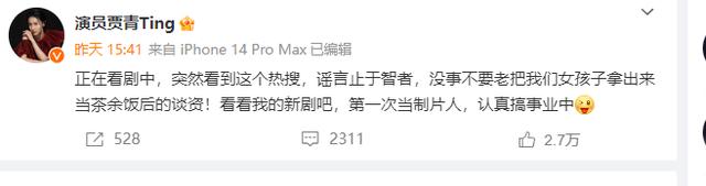 王丽坤前夫詹浩礼嫖娼花费数百万元 被曝曾与贾青有过一段恋情